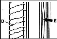 5. Наличие поперечных трещин (D) на обратной стороне ремня.