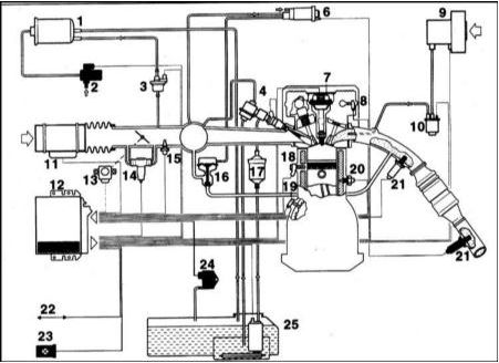     Motronic (DME)